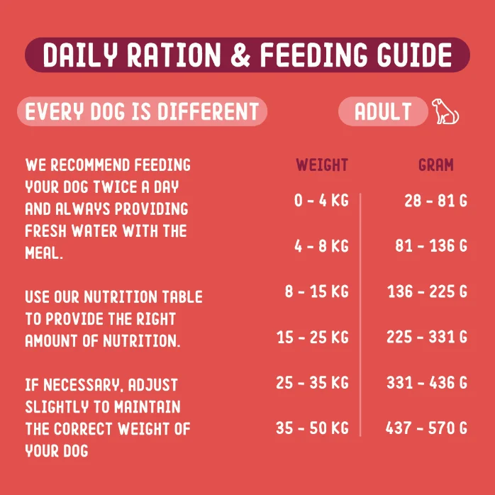 Insect-based Dog Food 1,5 kg