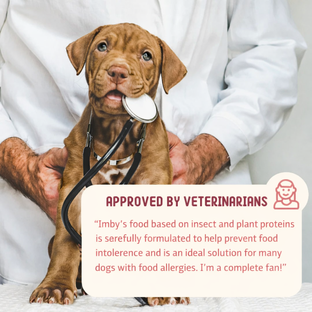 Gastrointestinal Dog Food 4 kg